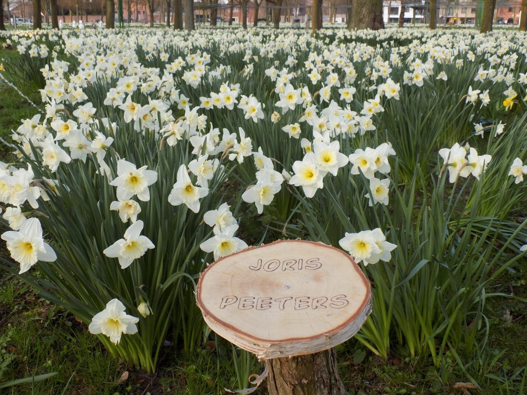 Naamborden op Den Dries Opdorp